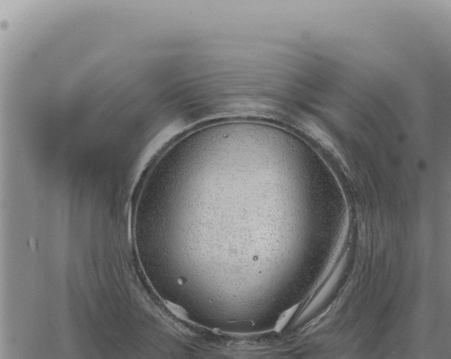 X0000063491275200601271711