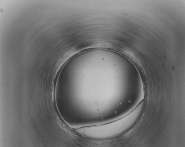 X0000063491276200601271711