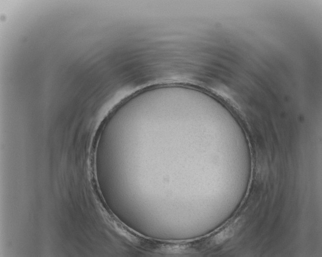 X0000063491278200601271711