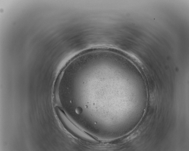 X0000063491279200601271711