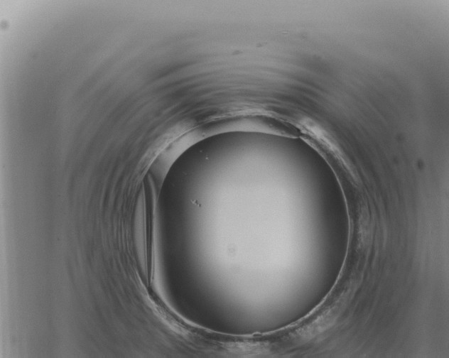 X0000063491281200601271710