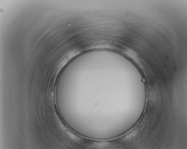 X0000063491282200601271710