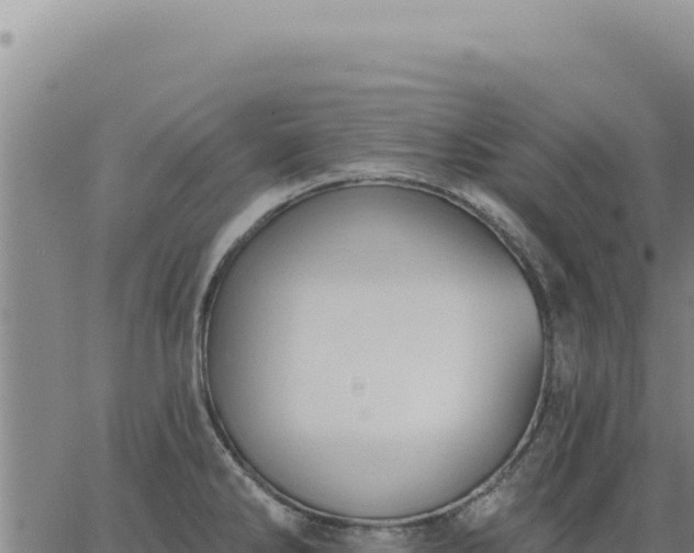 X0000063491286200601271710