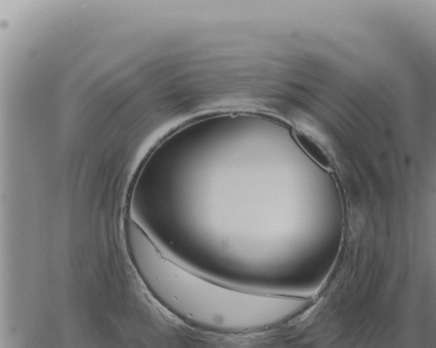 X0000063491288200601271710