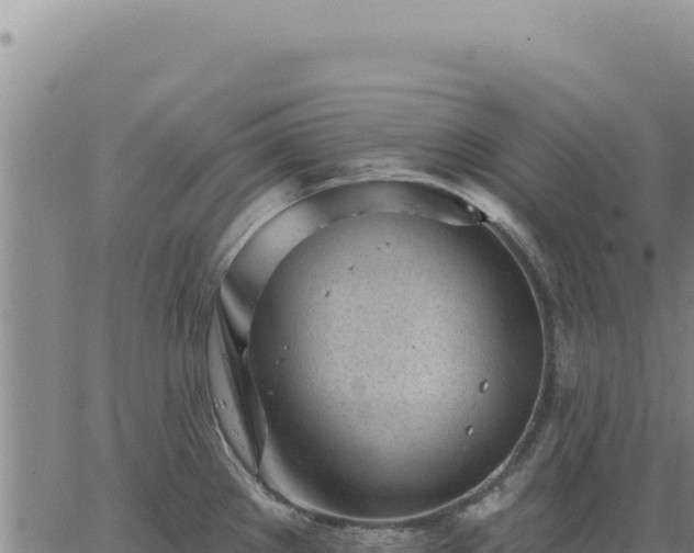 X0000063491289200601271710