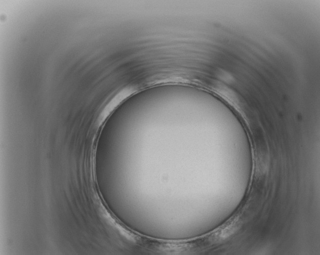 X0000063491290200601271710