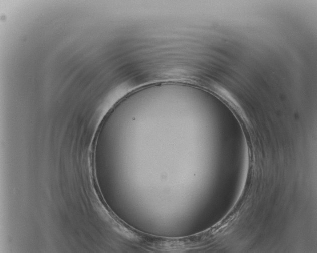 X0000063491291200601271710