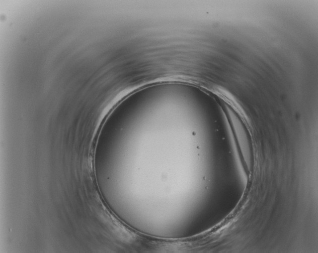 X0000063491292200601271710