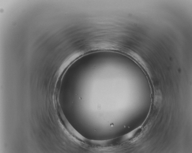 X0000063491293200601271710