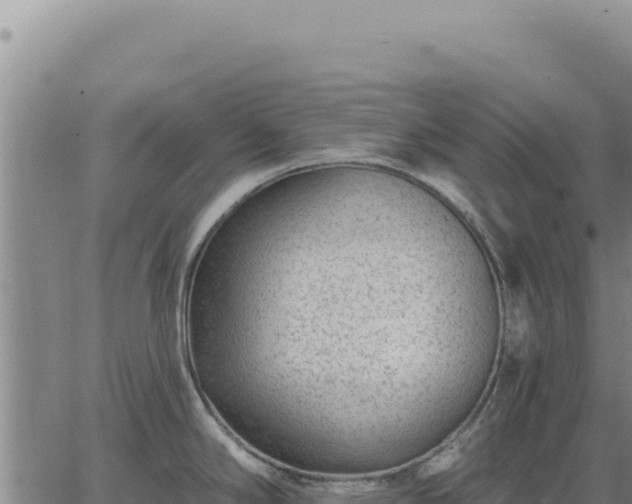 X0000063491294200601271710