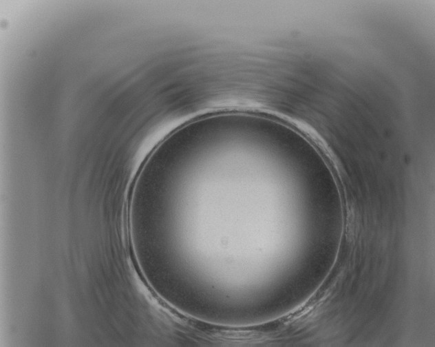 X0000063491295200601271710