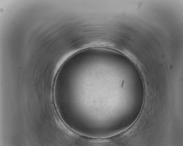 X0000063491296200601271710