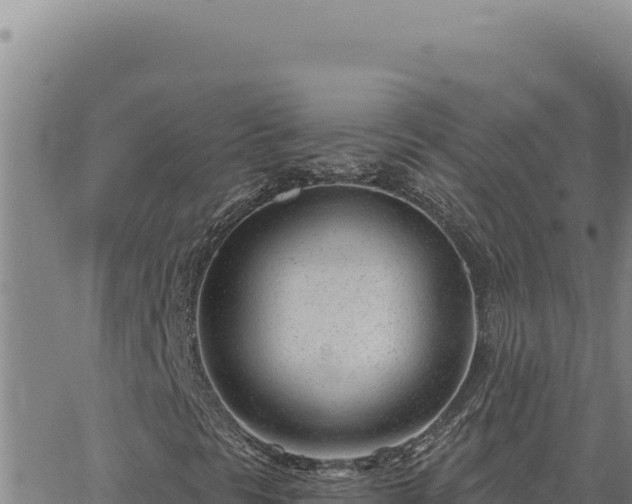 X0000063491297200601271709