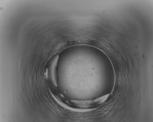 X0000063491298200601271709