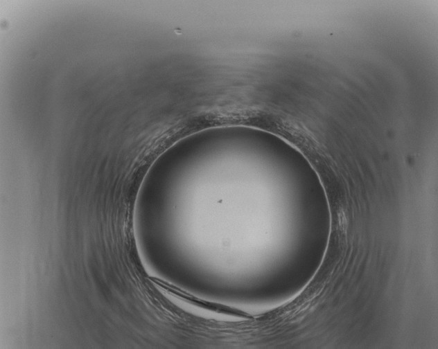 X0000063491300200601271710