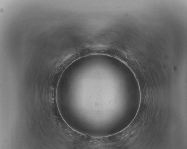 X0000063491301200601271710