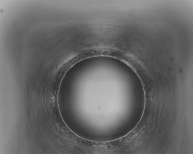 X0000063491302200601271710