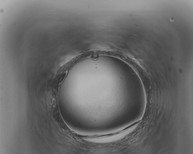 X0000063491303200601271710