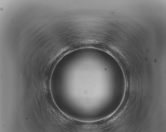 X0000063491305200601271710