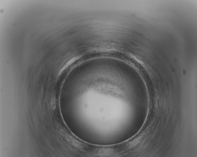 X0000063491306200601271710