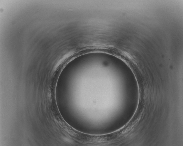 X0000063491307200601271710