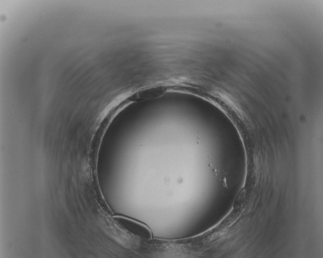 X0000063491308200601271710