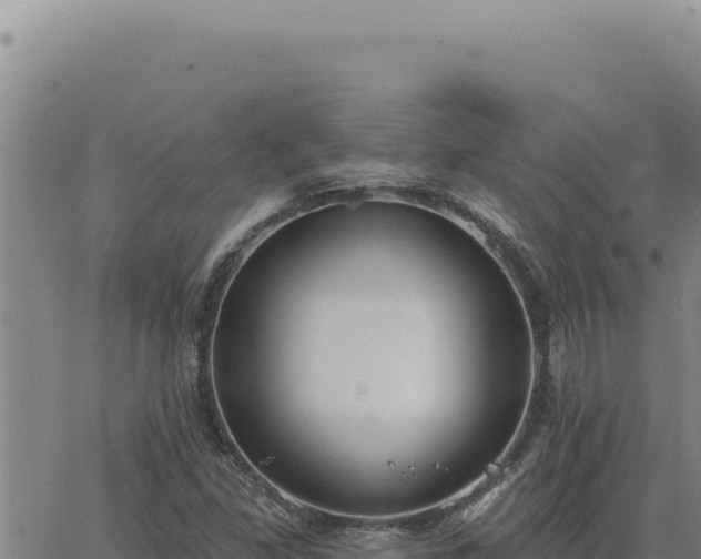 X0000063491309200601271710