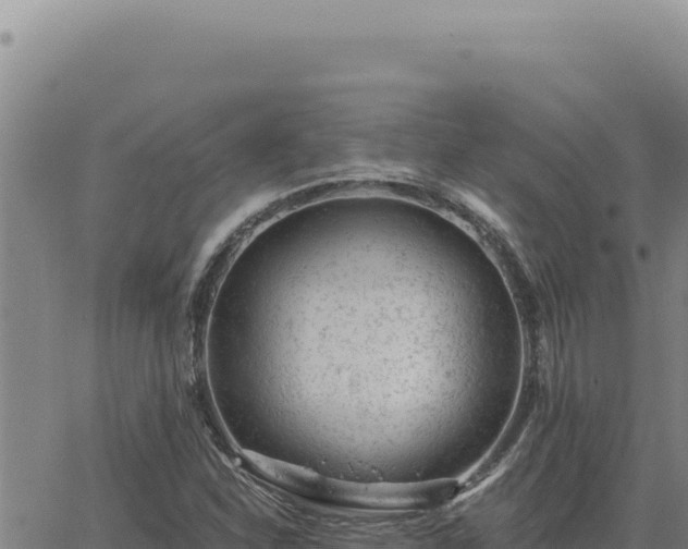 X0000063491310200601271710