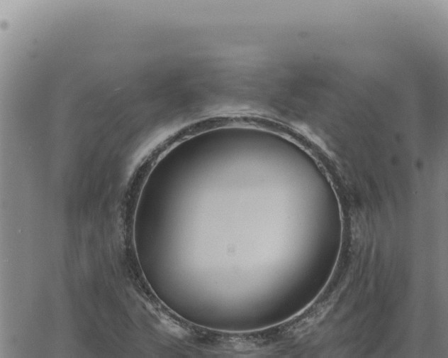 X0000063491311200601271710