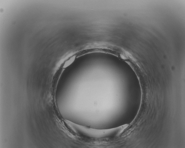 X0000063491312200601271710