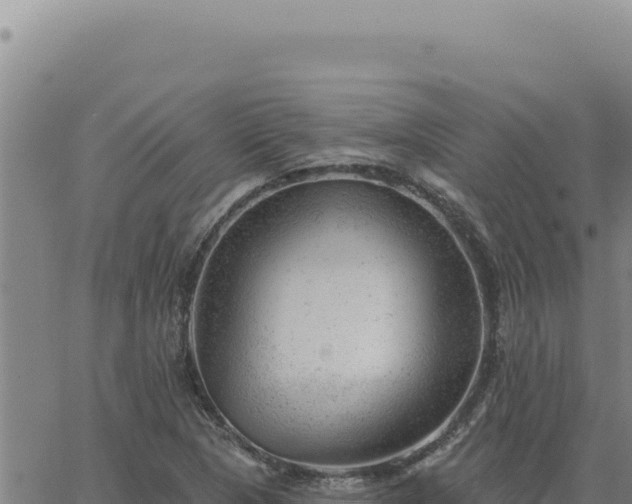 X0000063491313200601271710