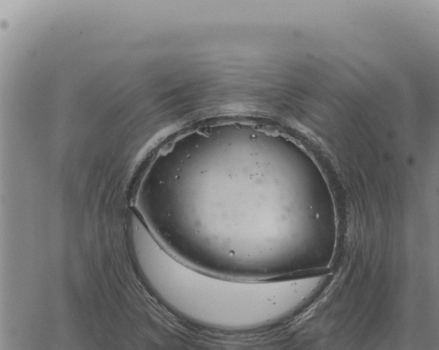 X0000063491314200601271710