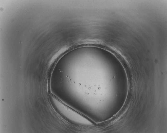 X0000063491317200601271710