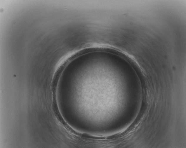 X0000063491319200601271710