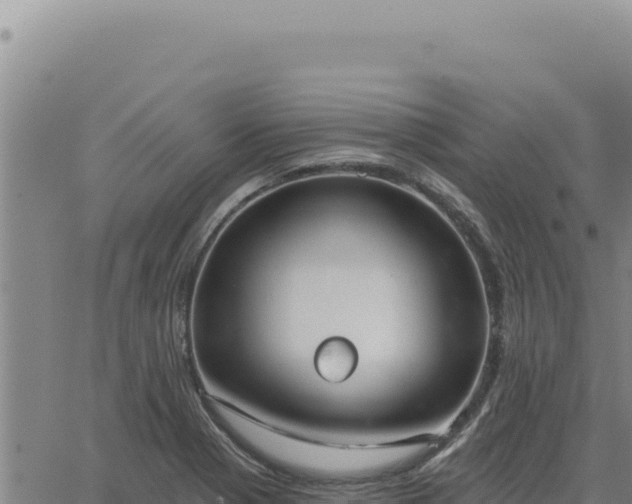 X0000063491321200601271710