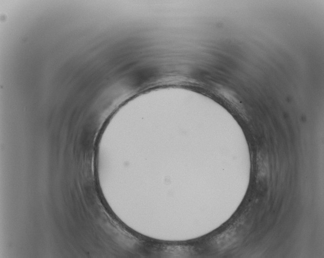 X0000063491322200601271710