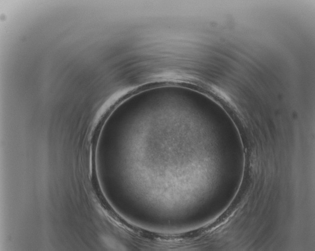 X0000063491323200601271710