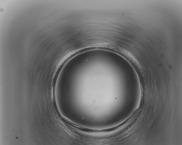 X0000063491324200601271710