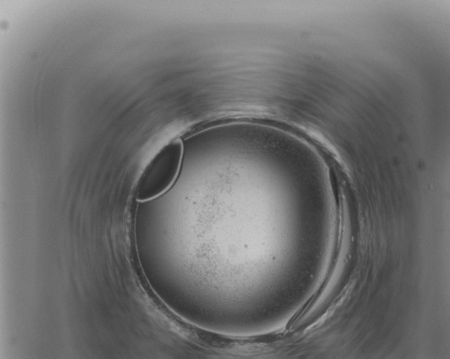 X0000063491325200601271710