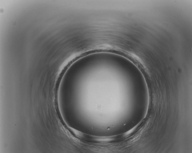 X0000063491326200601271710