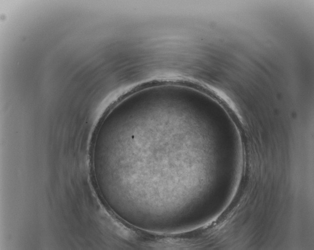 X0000063491327200601271710