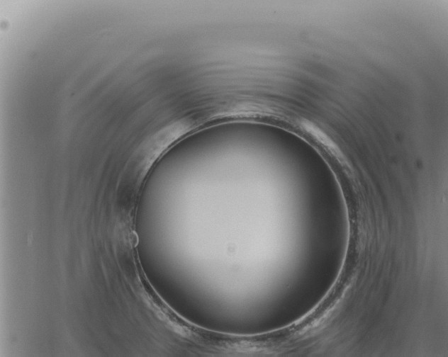 X0000063491329200601271710