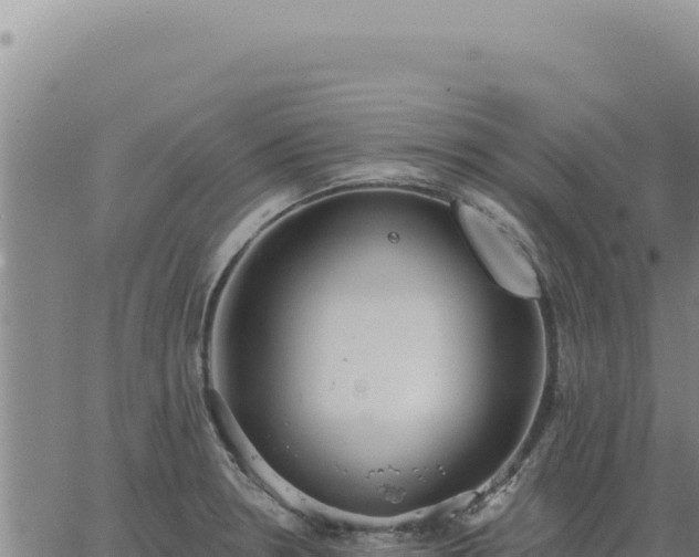 X0000063491330200601271710