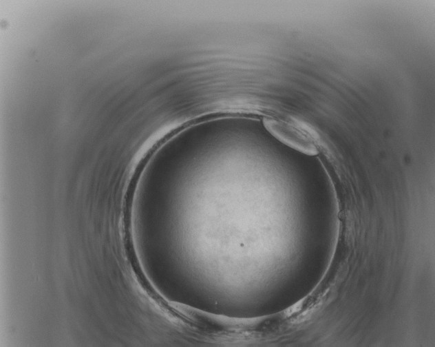 X0000063491331200601271710