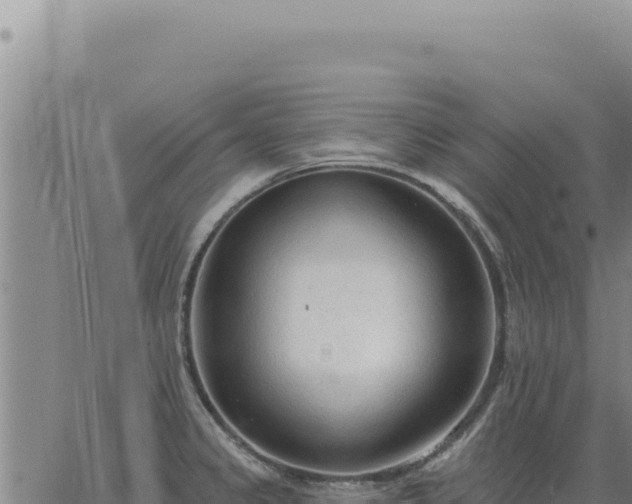 X0000063491333200601271710