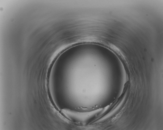 X0000063491334200601271710