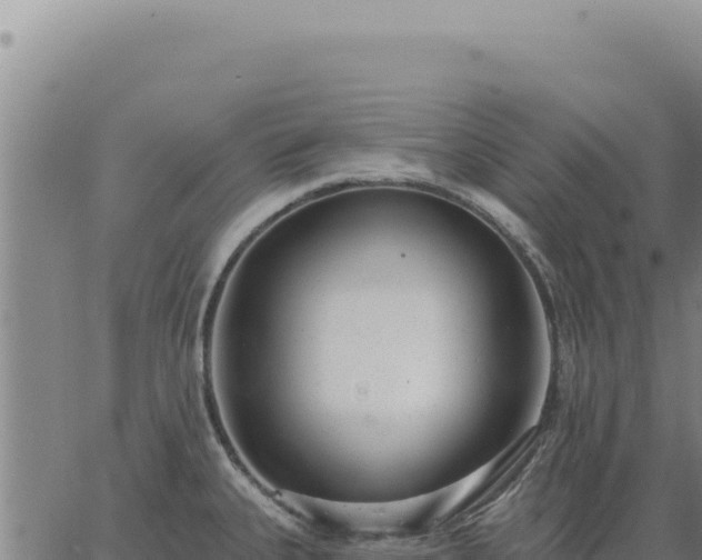 X0000063491335200601271710