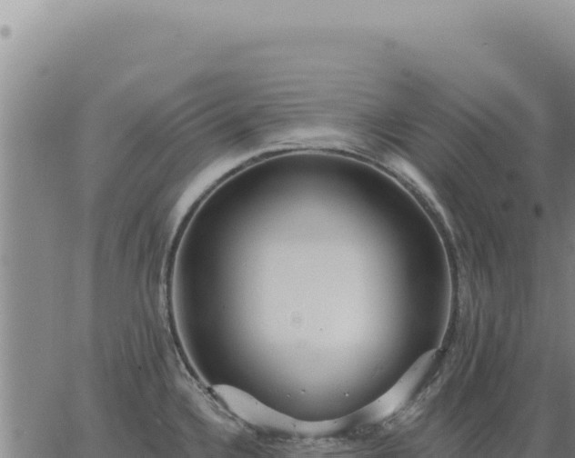 X0000063491336200601271710