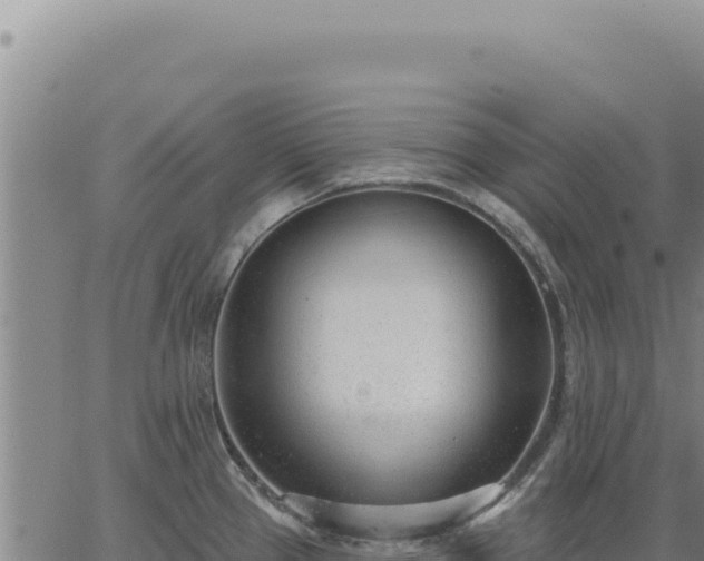 X0000063491337200601271710