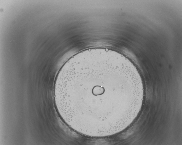 X0000063491338200601271710